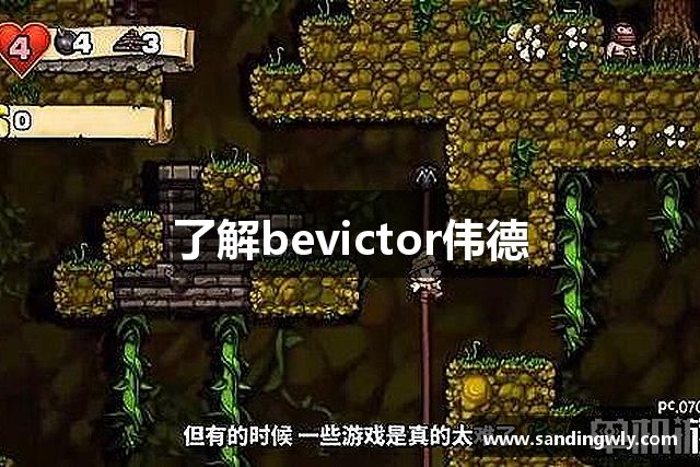 了解bevictor伟德